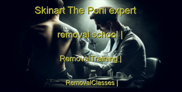 Skinart The Porli expert removal school | RemovalTraining | RemovalClasses | SkinartTraining-Gambia
